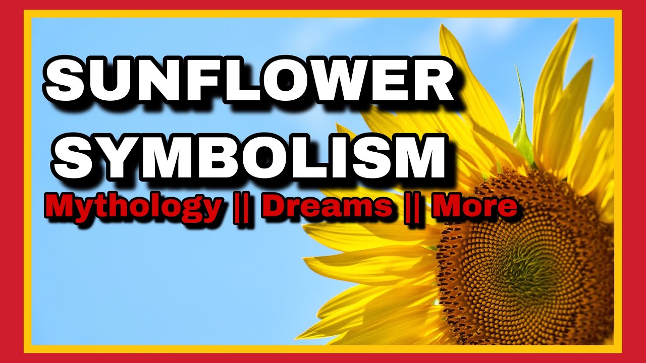 what does a sunflower symbolize in the bible