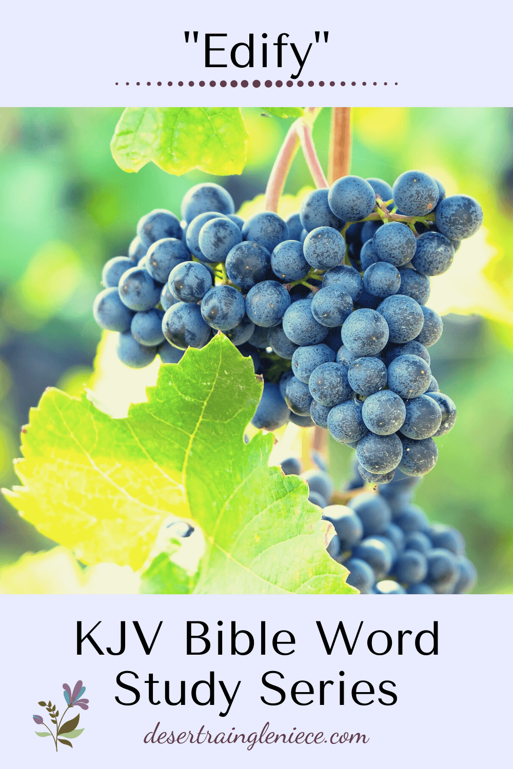 what does edifying mean in the bible